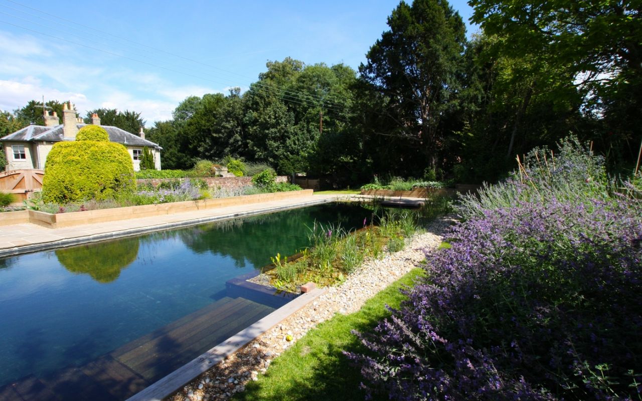 Natural pool with plants and eco-friendly design.